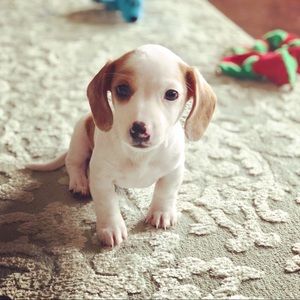 Meet your Posher, Kelli